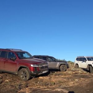 Land Cruiser 300 Training